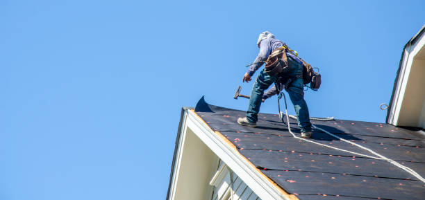 Best Roof Gutter Cleaning  in Round Rock, TX